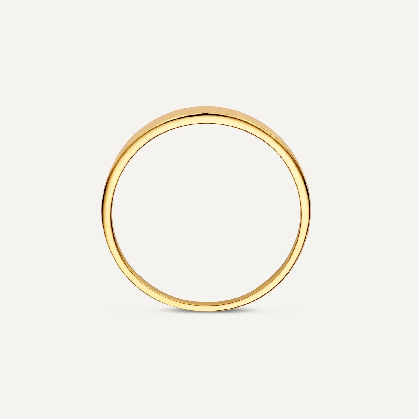 Essential Signet Ring