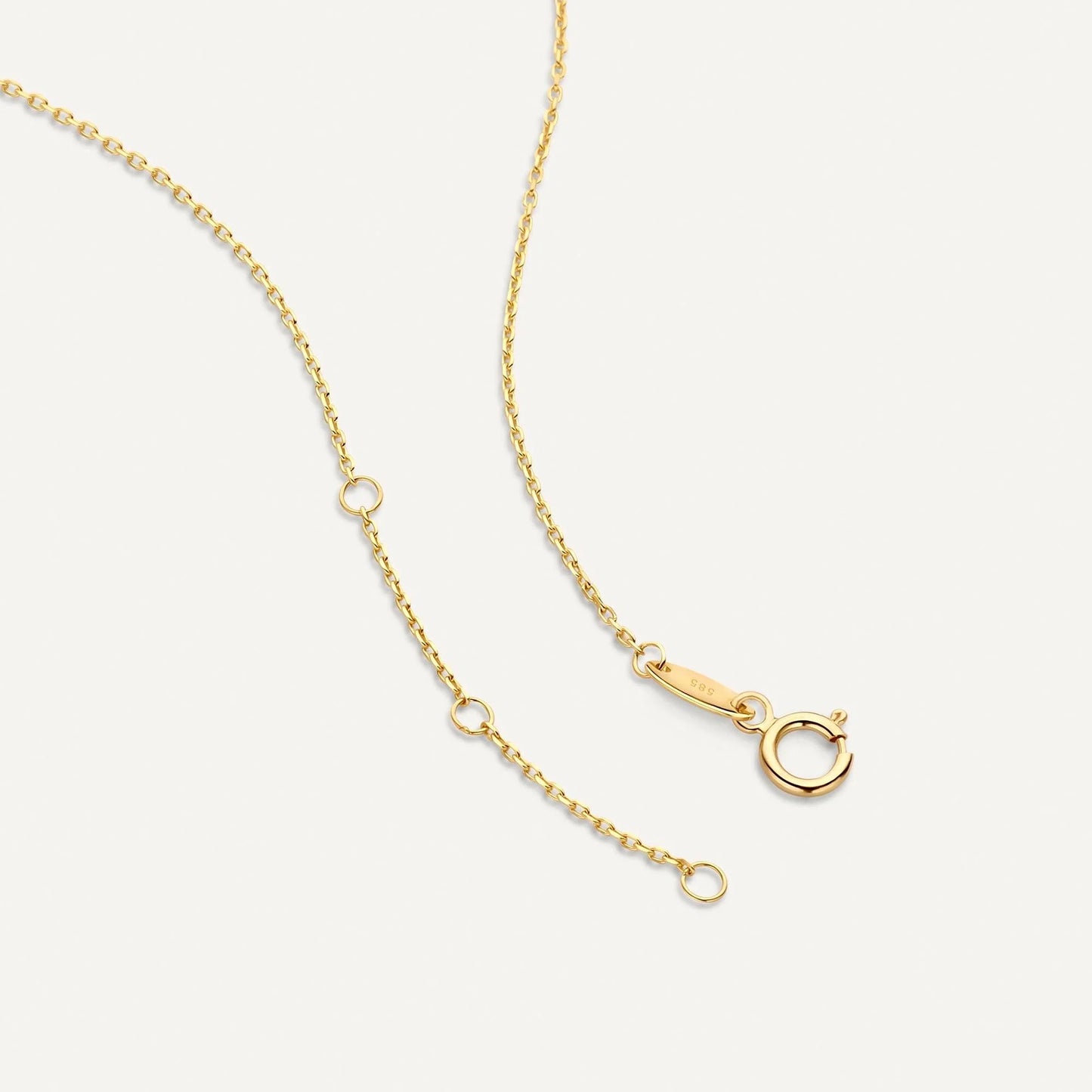 Pave Moissanite Halo Pendant Necklace