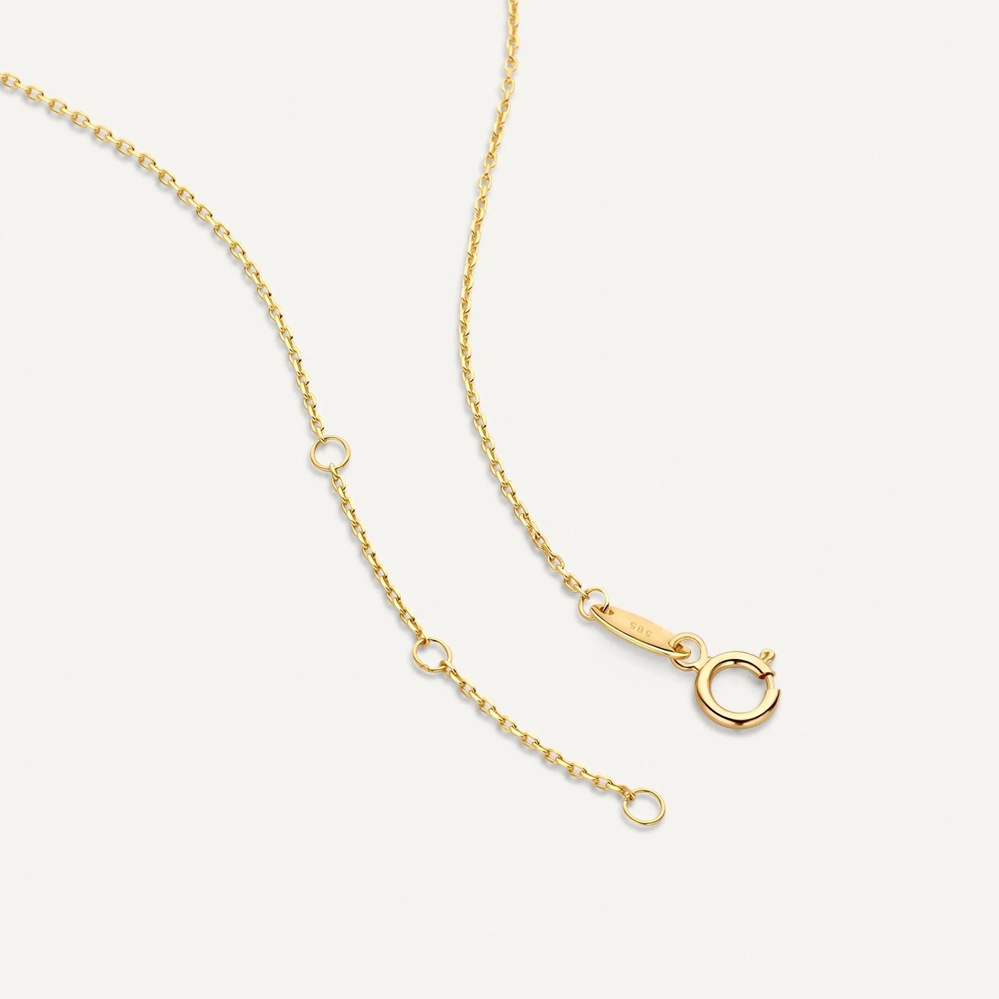Pave Moissanite Round Pendant Necklace