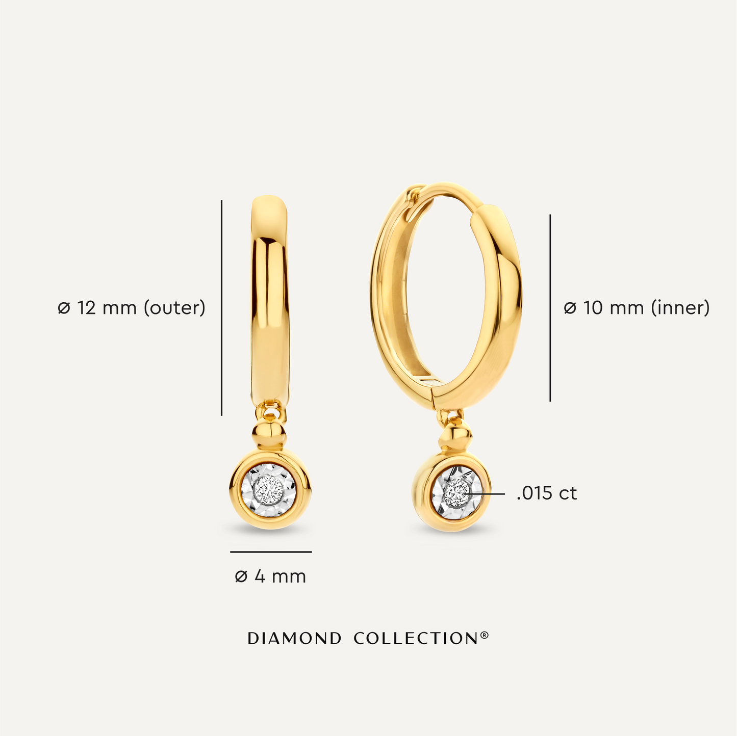 Bezel Set Diamond Charm Hoop Earrings (0.03 ct)