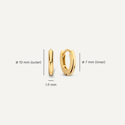 Oval Small Huggie Hoops (10mm)