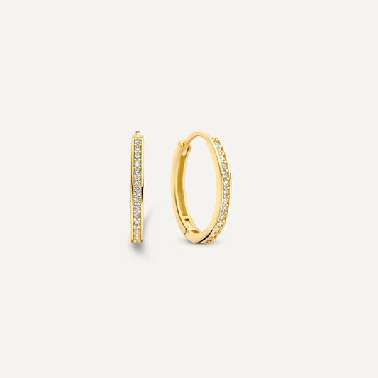 Pav¨¦ Cubic Zirconia Oval Small Hoops (15mm)