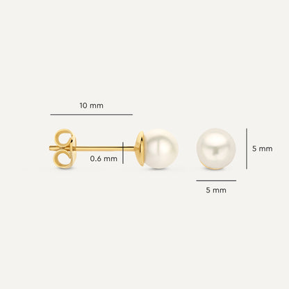 Pearl Studs