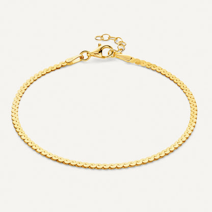 Serpentine Chain Bracelet