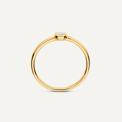 Bezel Set Diamond Ring (0.02 ct)